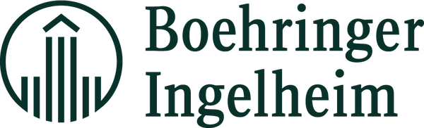 BI Company Profile